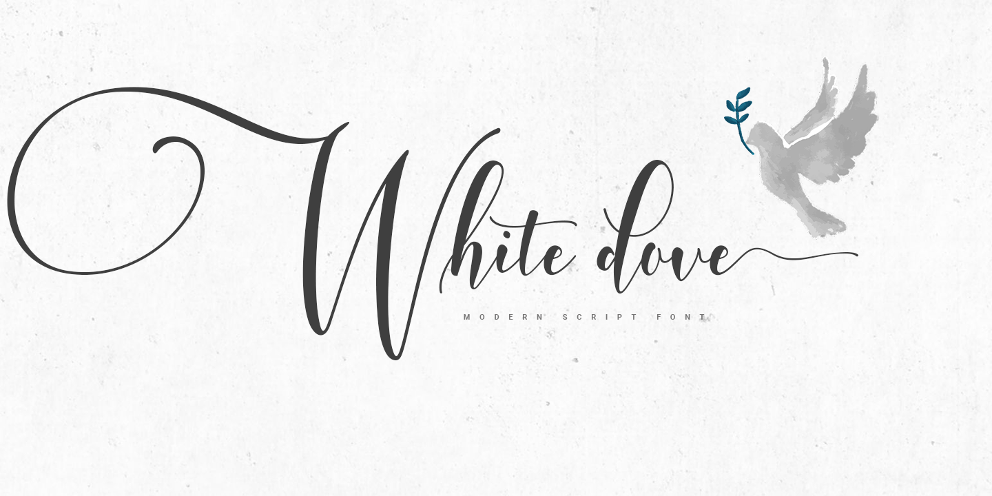 Beispiel einer White Dove Script-Schriftart